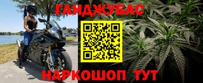 ешки Кингисепп