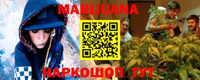ешки Кингисепп