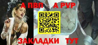 ешки Кингисепп