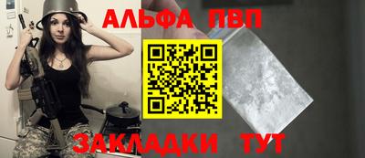 ешки Кингисепп