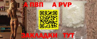 ешки Кингисепп